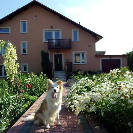 Agroturystyka U Basi Wola Kalinowska Dış mekan fotoğraf
